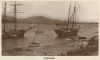 Old ships at Kippford